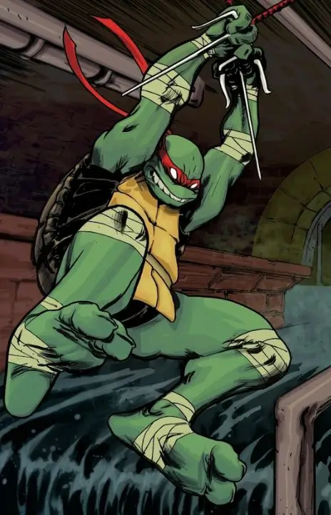 Teenage Mutant Ninja Turtles (2011) EN Cover Image