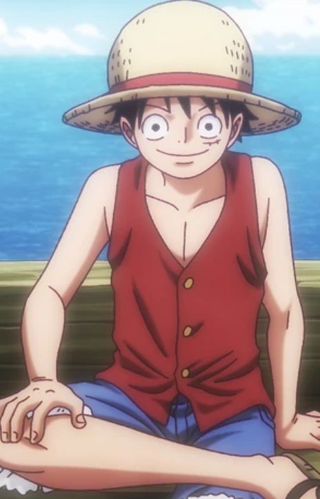 One Piece PT Cover Image